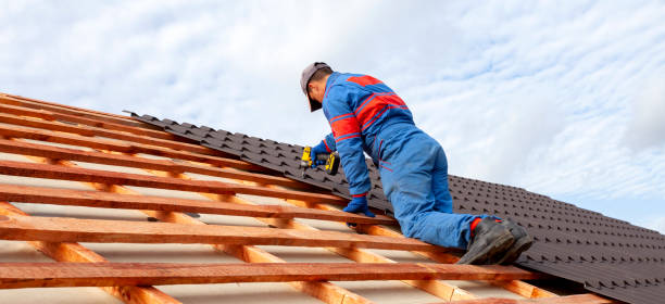 Best Roof Leak Repair  in Gridley, IL
