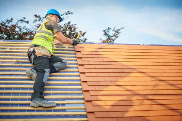 Best Storm Damage Roof Repair  in Gridley, IL